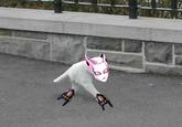 _What a beautiful duwang!_
_CHEW_