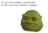 U ever just make a good joke to flex on amy schumer n-----
