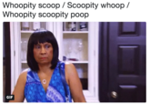 Whoopity scoop /Scoopity whoop/ Whoopity scoopity poop 0 GIF