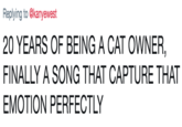 Replying to @kanyewest 20 YEARS OF BEING A CAT OWNER, FINALLY A SONG THAT CAPTURE THAT EMOTION PERFECTLY