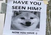 HAVE YOU SEEN HIM? NOW YOU HAVE :)