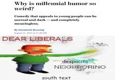Why is millennial humor so weird? Comedy that appeals to young people can be surreal and dark - and completeljy meaningless. By Elizabeth Bruenig August 11, 2017 at 11:46 AM DEAR LIBERALS despacito south text