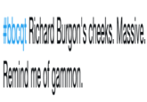 #bbcqt Richard Burgon's cheeks. Massive. Remind me of gammon. #bbcqt Richard Burgon's cheeks. Massive. Remind me of gammon.