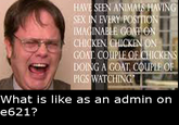 What is it like as an admin on e621? HAVESEEN ANIMMSHAYIN SEX IN EVERY POSTTIO CHICKEN CHICKEN ON DOING A GOAT,COUPLE O 문11 CHICKEN PIGS WATCHING What is like as an admin on e621?