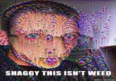 SHAGGY THISISN'T WEED Made on Dreamscope