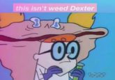 this isn't weed Dexter CARTOON