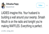 Chihuahua Pappy @sirjoshofmosh Follow LADIES imagine this. Your husband is building a wall around your swamp. Smash Mouth is on the radio and tonight you're making WAFFLES. Everything is perfect. 4:10 PM- 22 May 2018