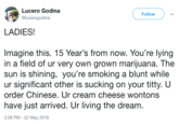Lucero Godina @lucerogodina Follow LADIES Imagine this. 15 Year's from now. You're lying in a field of ur very own grown marijuana. The sun is shining, you're smoking a blunt while ur significant other is sucking on your t----. U order Chinese. Ur cream cheese wontons have just arrived. Ur living the dream 3:38 PM - 22 May 2018