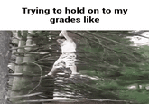 Trying to hold on to my grades like