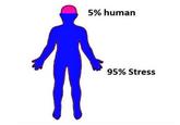 5% human 95% Stress