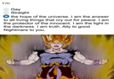I'm the hope of the universe I'm Gay Straight the hope of the universe. I am the answer to all living things that cry out for peace. I am the protector of the innocent. I am the light in the darkness. I am truth. Ally to good. Nightmare to you