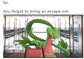 Grovyle tells you why you need to bring escape orbs So. You forgot to bring an escape orb