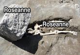 Roseanne Roseanne