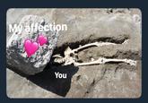 ection You