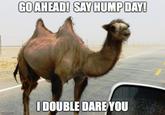 GOAHEAD! SAV HUMPDAY DOUBLE DARE YOU mgip.com