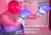TELL ISIS NOLESS SHRIMP BACKAT RED LOBSTER