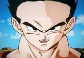 Gohan Calvo.

Gohan losed he front-hair for get power, but he goes ugly, thats is why he becomed a meme now!
ok, this image is not the original, this is the version made by me, i make this for you see all the gohan calvo's hair
xD this is too funny