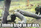 mma tree in ur ass