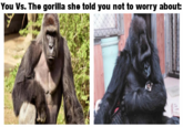 You Vs. The gorilla she told you not to worry about