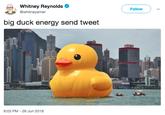 Whitney Reynolds @whitneyarner Follow big duck energy send tweet 8:03 PM 26 Jun 2018