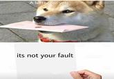 A letter for you Infinitedoggomemes its not your fault