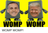 Silly meme of the womp womp phrase