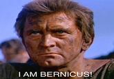 I AM BERNICUS!