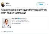 Mike @mik9703 Follow Alligators are ornery cause they got all them teeth and no toothbrush Paris HiltonParisHilton Tell me something I don't know... Show this thread 11:23 AM-1 Jul 2018