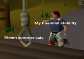 My financial stability Steam summer sale