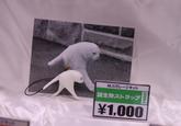 MJSガレージキット 謎生物ストラップ ¥1,000