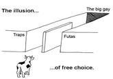 The illusion... The big gay Traps Futas ...of free choice. text black and white diagram line