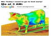 Me: Today I need to go to bed early! Me at 3 AM: Gooal e Cow's aerodynamics