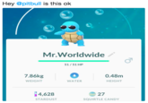Hey @pitbull is this ok Hey @pitbull is this ok Mr.Worldwide ふ 51/51 HP 7.86kg 0.48m WEIGHT WATER HEIGHT 4,628 STARDUST 27 SQUIRTLE CANDY
