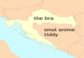 the bra smol anime 13. tiddy