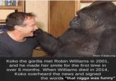 Picture of "Robin Williams":/memes/people/robin-williams meeting Koko with caption joking that Koko made a comment about his death.