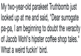 My two-year-old parakeet Truthbomb just looked up at me and said, "Dear surrogate pa-pa, I am beginning to doubt the veracity of Jacob Wohl's hipster coffee shop tales." What a weird fuckin' bird.