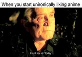 When you start unironically liking anime I hurt my self today