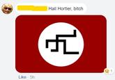 This image is a cropped version of a chat where concerned mothers where talking about the right wing leanings of their children, when suddenly this account posted the hortler flag.