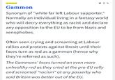 Gammon Labour TOP DEFINITION Gammon Synonym of "white far left Labour supporter." Normally an individual living in a fantasy world who will decry everything as racist and declare any opposition to the EU to be from Nazis and xenophobes, Often seen crying and screaming at Labour rallies and protests against Brexit until their faces turn as red as a gammon (hence why they're referred as such) The Gammons' faces turned an even more unhealthy red as they cried at the pro-EU rally and screamed "racism"at any passerby who said Britain was better out of the EU