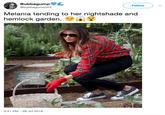 Bubbagump" @bubbagump324 Follow Melania tending to her nightshade and hemlock garden. ther; od instead tHe yeer 3:41 PM - 28 Jul 2018