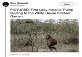 Born Miserable @bornmiserable Follow PICTURED: First Lady Melania Trumıp tending to the White House Kitchen Garden. 6:35 PM 31 Jul 2018