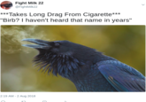 Fight Milk 22 @FightMilk22 *Takes Long Drag From C--------** Birb? I haven't heard that name in years" 2:19 AM-2 Aug 2018