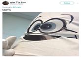 Alex The Lion @Villaci_Raptor Follow Replying to @iPurrple Omw