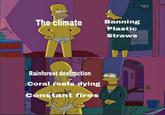climate Banning Plastic Straws Rainforest destraction Coral reefs dying Constant fires