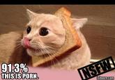 The internet is screwed up