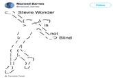 Maxwell Barnes @maxwell _barnes Follow c:\ Stevie Wonder not つBlind Translate Tweet
