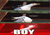 inhales BOY