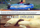 photo of those bears in a pool in New Jersey with photoshopped picture of a white bear using a phone to report them to the police.