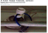 А КАК ТЕБЕ ТАКОЕ, ИЛОН MACK???????????? Translate Tweet