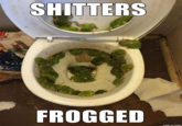 Frogged S------- FROGGED made on imgur
